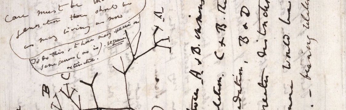 Darwin's Notebook